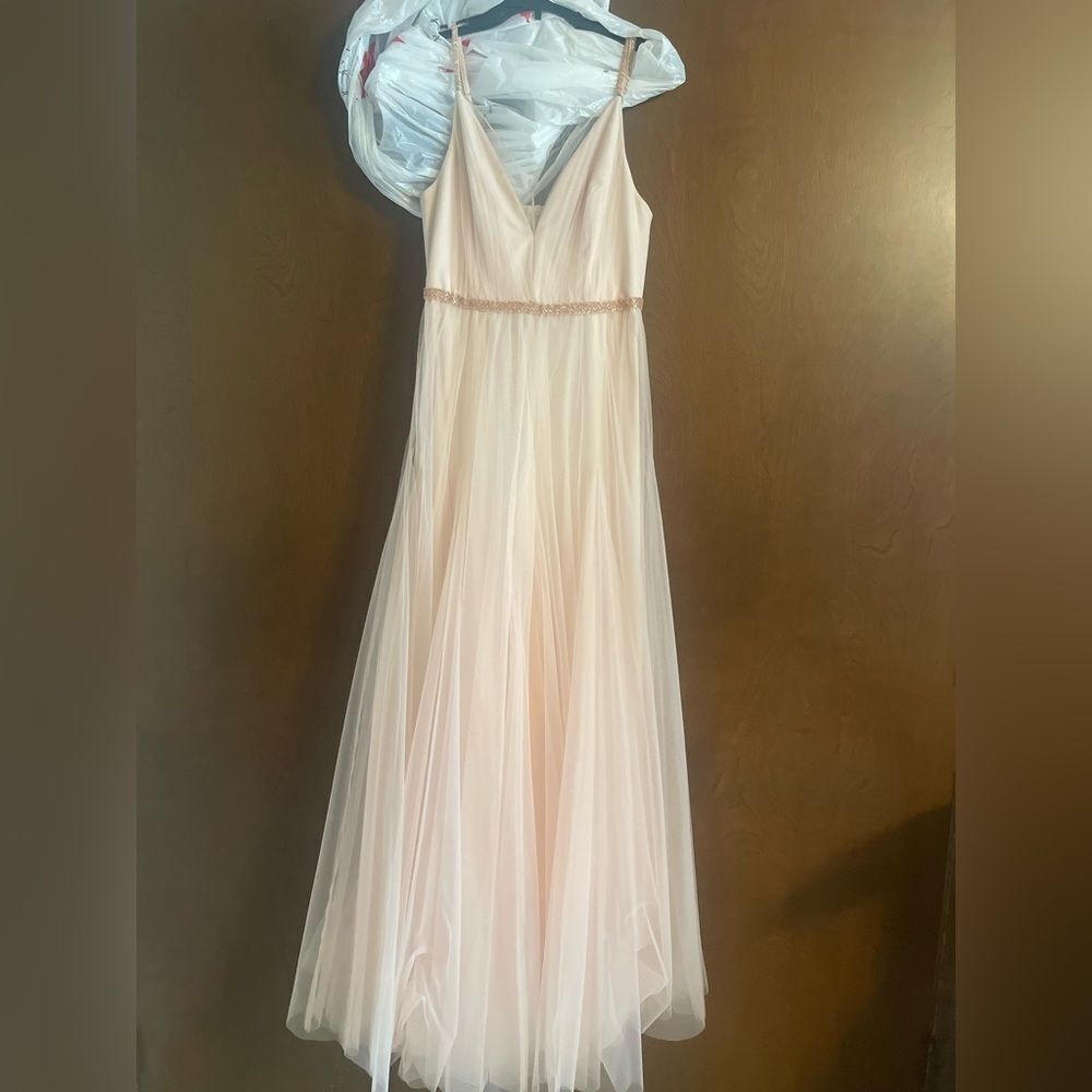 BCBG Peach Maxi Dress